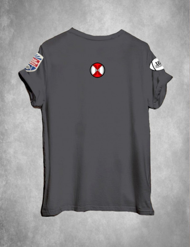 ▷ Camiseta Chico LASAL Never Gris 2