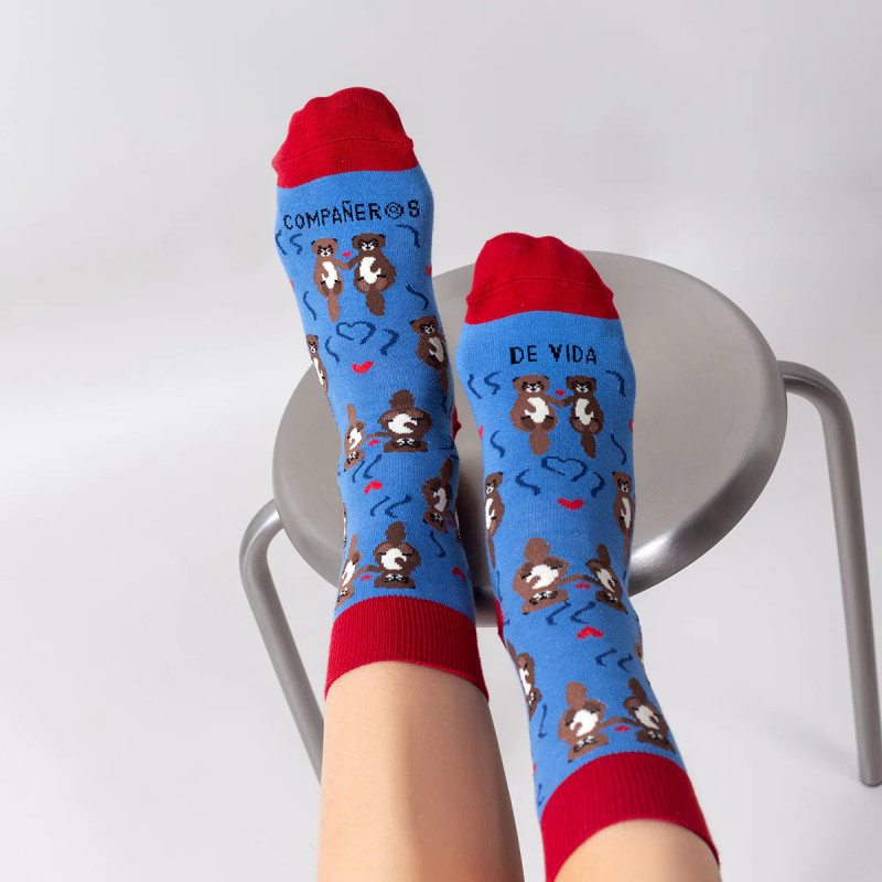 Calcetines Eres mi Compañero de Vida 2
