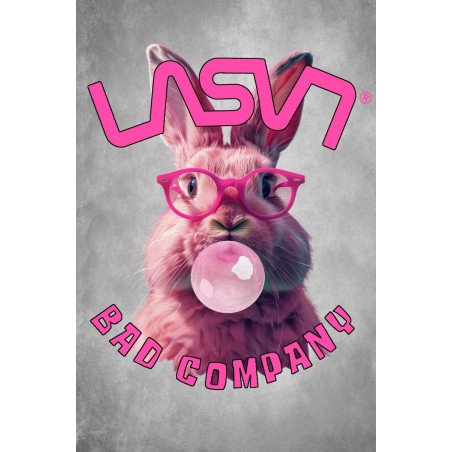 ▷ Camiseta LASAL Rabbit Negro Desgastado